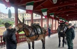 Alpini also in the province: from Bassano to Valli del Pasubio the events during the Gathering