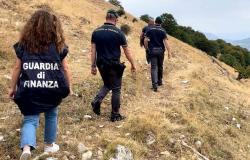 “Transhumance” investigation in Abruzzo: the Prosecutor’s Office closes the investigation into ghost pastures and the millionaire scam against the European Union