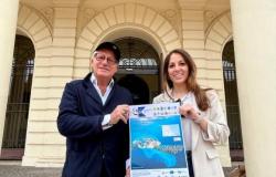 The divers of Cattolica and Cesena in action on Sunday for “Clean seabed Romagna 2024”