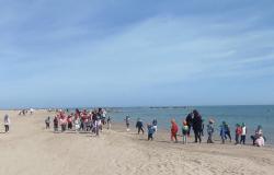 Introduce the little ones to the beach with Lions Host and Ambiente Basso Molise