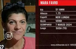From those who have seen it, an appeal to find Mara, spotted between Asti and Alessandria