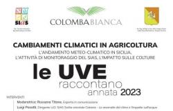 Viticulture, Cantine Colomba bianca presents the 13th edition of “The Grapes Tell” in Marsala