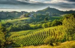 In the lands of Piedmont’s Gavi for a “white berry” festival between slow routes and fine sips