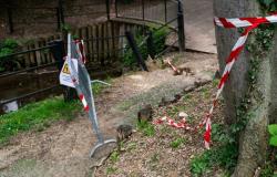 the Municipality forced to pay 10 thousand euros to repair the damage