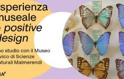 Museum experience and positive design: a study with the Malmerendi Civic Museum of Natural Sciences of Faenza