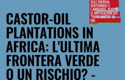 CASTOR-OIL PLANTATIONS IN AFRICA: THE LAST GREEN FRONTIER OR A RISK? – AN IN-DEPTH ANALYSIS