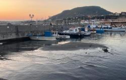 Bradyseism, raised docks and seabeds at the port of Pozzuoli: maritime transport at risk
