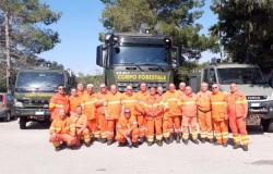 Intensified checks by the Castelvetrano forestry detachment to prevent fires • Front Page