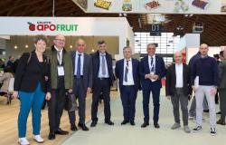 Macfrut in Rimini, the cooperatives satisfied: «The “Made in Romagna” choice is convincing»
