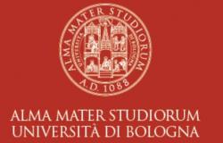 University building plan 24/26. New study rooms planned in Rimini • newsrimini.it