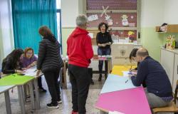 Municipal elections in Cagliari: first lists filed, waiting for the Zeddas – News