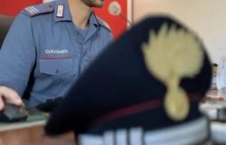 Yesterday morning, the Carabinieri of the Torre Annunziata Group executed a preventive seizure decree issued by the GIP of the Court of Torre Annunziata, at the request of this Public Prosecutor’s Office, against 7 people under investigation, for various reasons, in relation to the crimes of aggravated fraud for the undue obtaining of public funds and failure to communicate changes in information due and relevant for the purposes of revocation or reduction of the “citizen’s income”