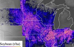 NASA is helping farmers — how researchers are using satellite images to address big ag issues