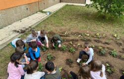 Viterbo – The “Active vegetable garden” project comes to life in the Vanni comprehensive institute