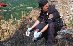 Fires in Petronà and Mesoraca, the alleged perpetrators reported by the police