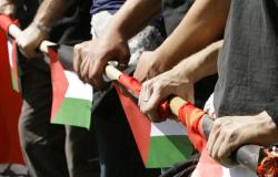 Turin Book Fair: clashes with pro-Palestine supporters, delegation authorized to enter