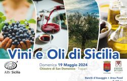 “Wines and Oils of Sicily”, in Trapani AIS Sicilia promotes the culture and history of the two Mediterranean symbols – LaTr3.it