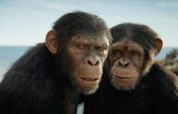 Kingdom of the Planet of the Apes back in the lead – The box office on Friday 10 May