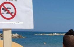 Sea, here are the areas of the coast with a ban on swimming – Pescara