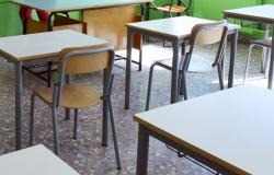 Modena, cherry tomatoes at school for snacks: children suffer from illness