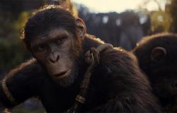 US grosses: Kingdom of the Planet of the Apes wins the weekend with $56.5 million | Cinema