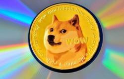 The price of DOGE drops by 7% in the last week: what happens?