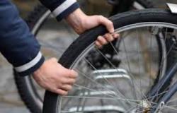 They stop him riding the stolen bicycle | Today Treviso | News