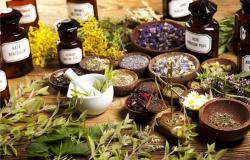 Coldiretti Puglia: “From table to pharmacy, from cosmetics to fashion, there is a boom in medicinal plants”