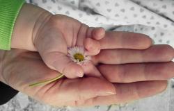 Mother’s Day, the psychologist: “Give security and love to your children.” Here are the mistakes not to make – News Ancona-Osimo – CentroPagina