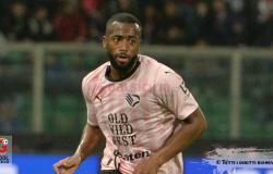 Palermo, Diakitè: “On the pitch we always try to give everything. In every match you need your best.”