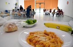 School canteens, Basilicata is the most expensive region in Italy: 109 euros per month