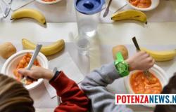 Basilicata is the most expensive region for school canteens! Here is the investigation by Cittadinanzattiva