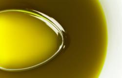 The price of Spanish extra virgin olive oil is flying, stable in Italy