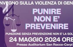 Punishing is not preventing is the theme of the conference organized by the Anti-Violence Centre