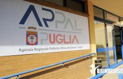 ARPAL: in the Employment Centers of Brindisi and its province there are job advertisements for 193 professional figures