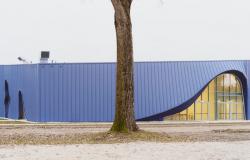 In Brugnera (Pn), Settanta7 designs a school that looks like a whale