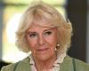 Royal Family, health problems for Camilla: “It’s all cancelled” | How are you