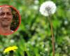 Plant expert Stefano Bonacina died after eating a poisonous herb he believed was dandelion