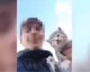 throws a cat off a cliff for fun and films himself – Il Meridiano News