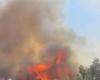 Fires: Coldiretti Puglia, There Are Already 29 In 3 Weeks In Lower Salento