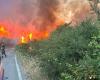The fire devours the woods of the Madonie and threatens to reach Cefalù