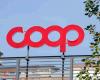 Coop hires immediately, with few requirements, sign the contract immediately | Apply here