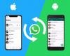 How to Transfer WhatsApp from iPhone to Samsung: The Simple Procedure
