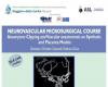 National Congress and Course of Neurovascular Microsurgery with innovative techniques