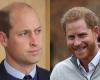 Harry and William, Lady D’s butler tells the whole truth: what he told them at the secret meeting