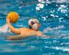 Lazio Nuoto against Latina in Acilia: you need to win to see the play offs