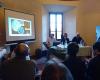 Etruscan liver between divinities and religious influences: meeting in Castell’Arquato