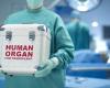 Aversa, 47 years old, dies but saves two lives: organs transplanted in Campania