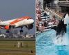Victory! EasyJet will no longer promote tourist attractions that exploit animals