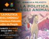 Animal politics, presentation of the book by Gianluca Felicetti, national president of Lav